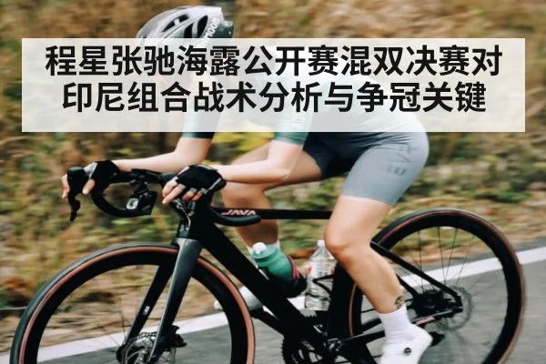 程星张驰海露公开赛混双决赛对印尼组合战术分析与争冠关键